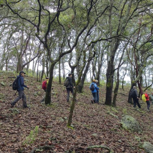 Sierra Chapálica — foto 10