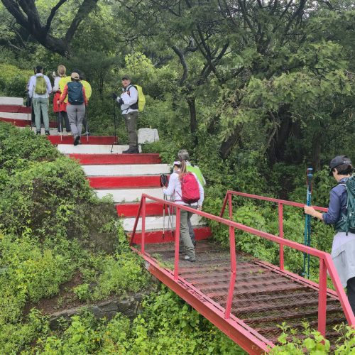 Sierra Chapálica — foto 7