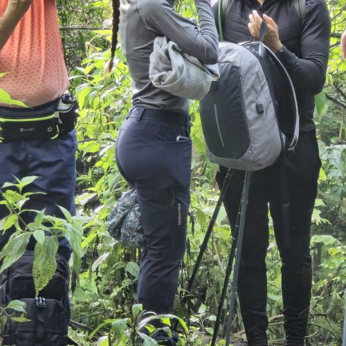 Sierra Chapálica — foto 3