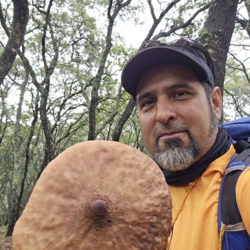 Sierra Chapálica — foto 5