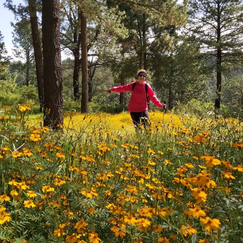 Sierra de Tapalpa — foto 1