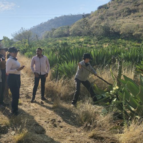 Sierra Occidental — foto 5