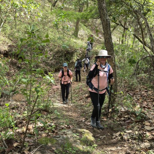 Sierra Occidental — foto 6