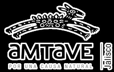 Amtave Jalisco